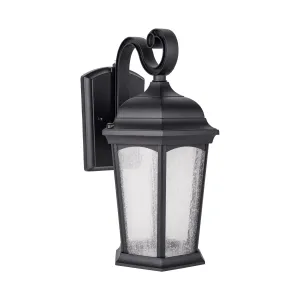 Outdoor Hex Integrated LED Wall Lantern, Dusk to Dawn, 1200 Lumens, 3K Warm White, Wet Location, Black or Bronze Finish with Seedy Glass